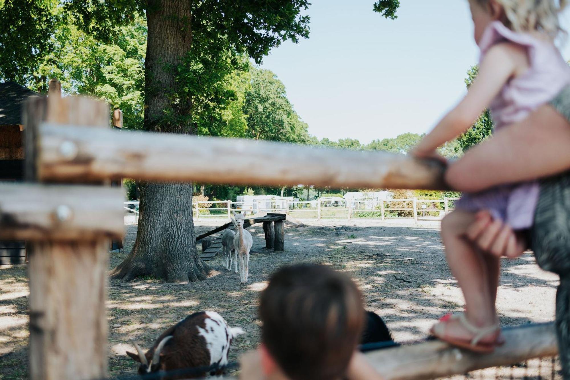 Sfeervolle Blokhut Met Fijne Buitenruimte @ Veluwe Epe Eksteriør bilde